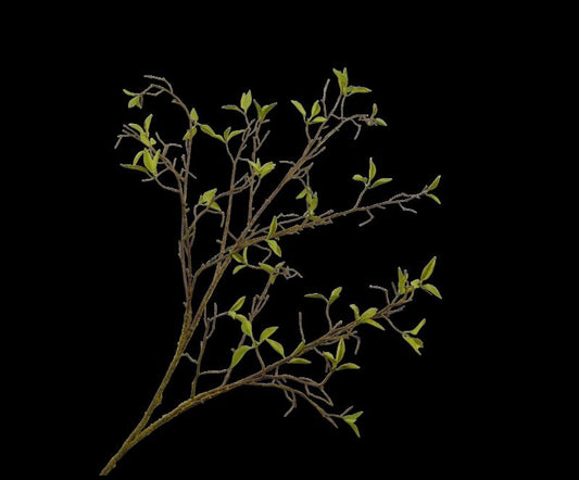 WILGENTAK  GROEN  107 cm