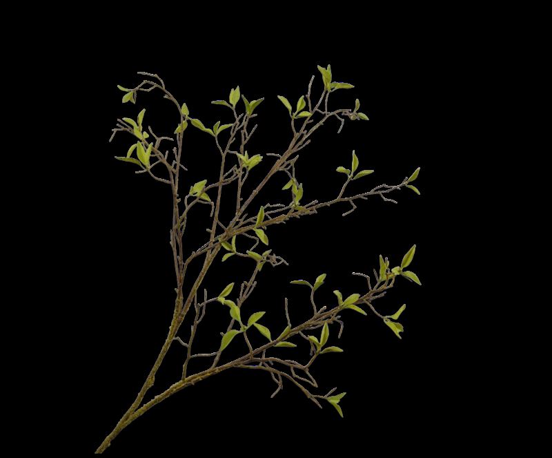 WILGENTAK  GROEN  107 cm