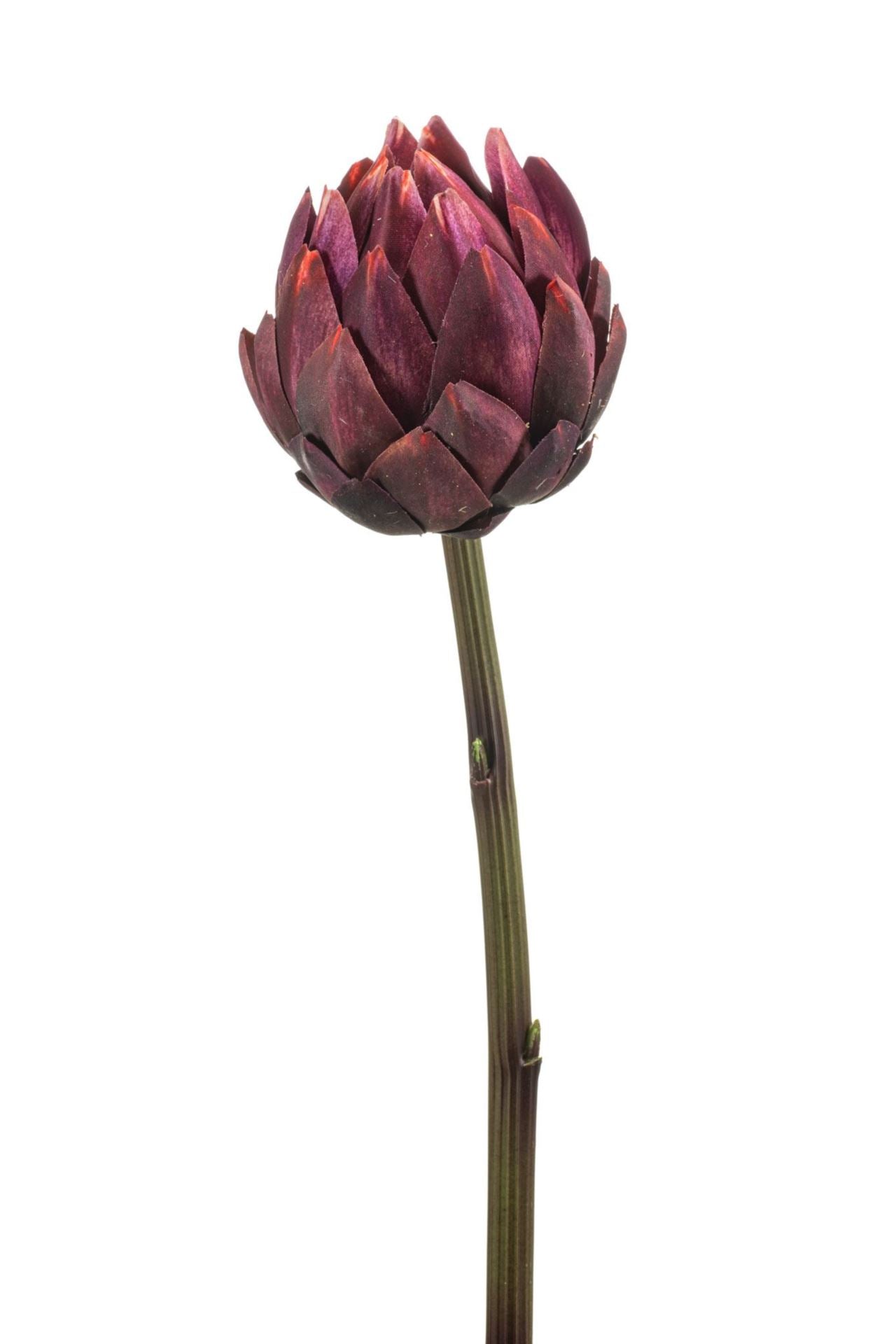 Artichoke spray rt burgundy 58cm