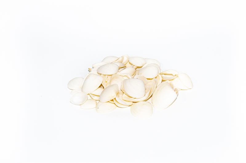 Schelpen white cay cay nat.1 kg