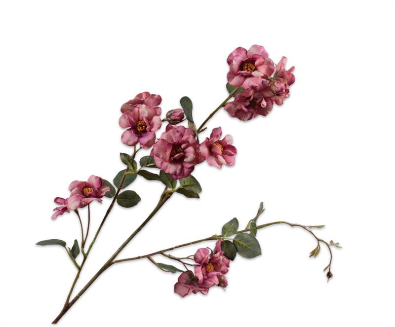 ROOS TAK ROZE DK 86CM