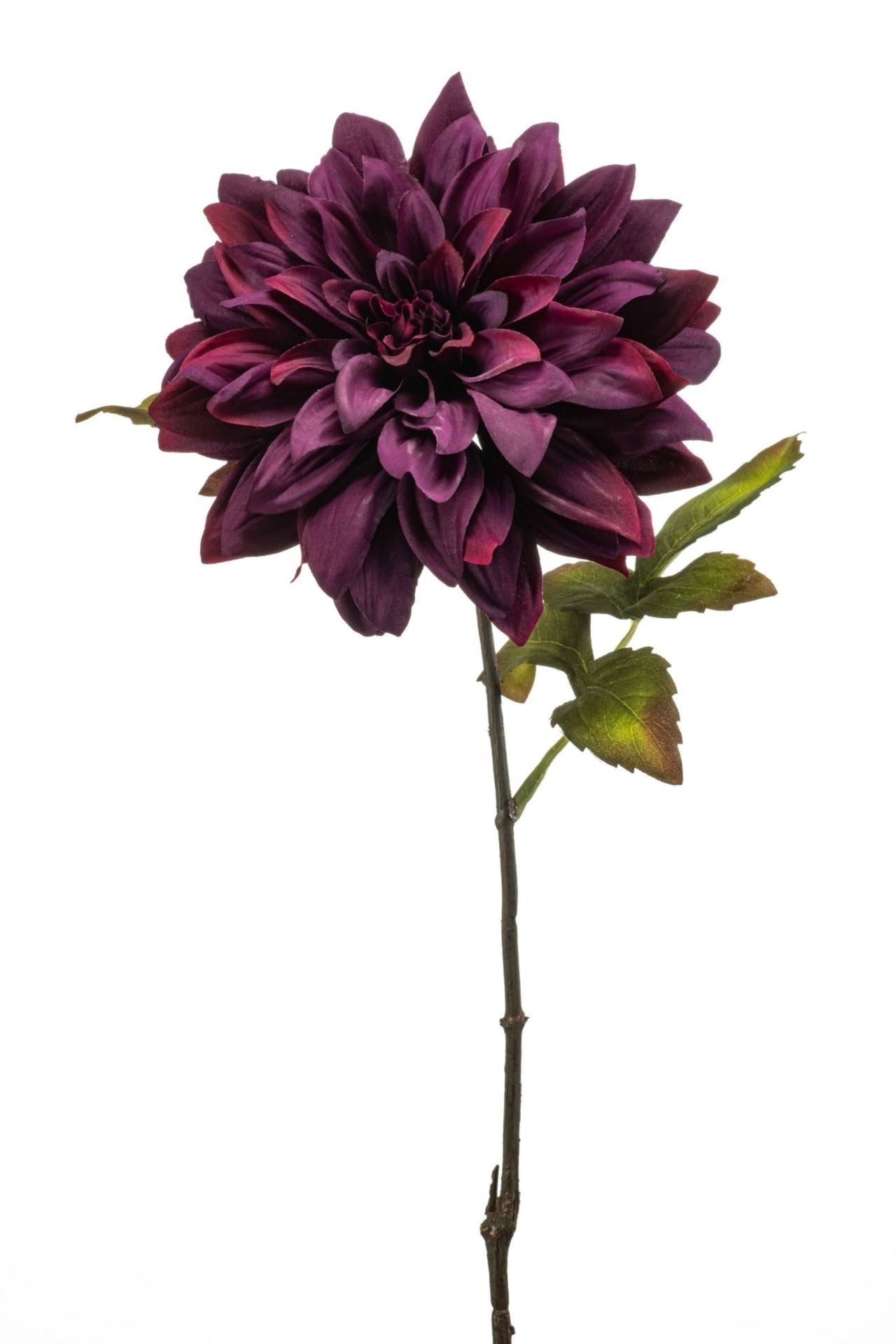 Dahlia spray purple 55cm