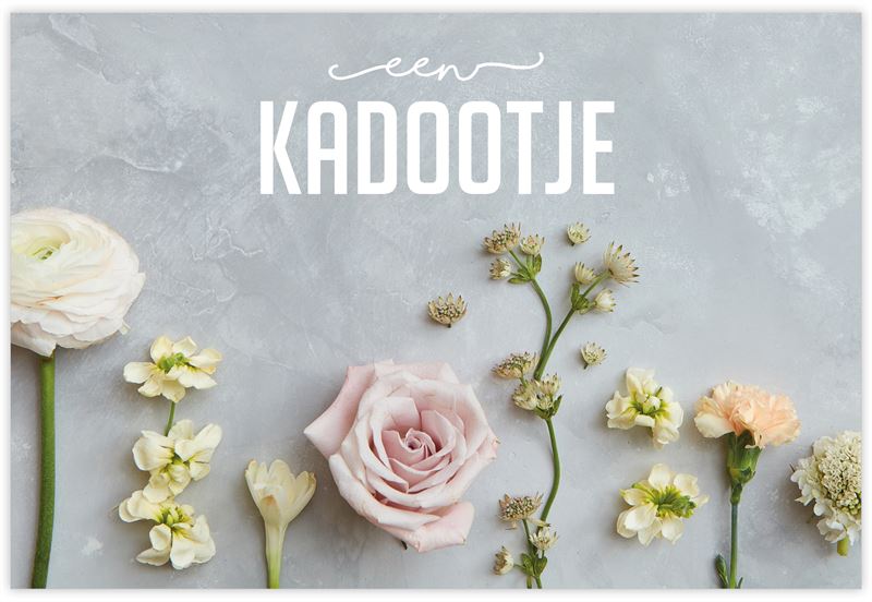 Kadobonnen Easy a 12 stuks Een leuk