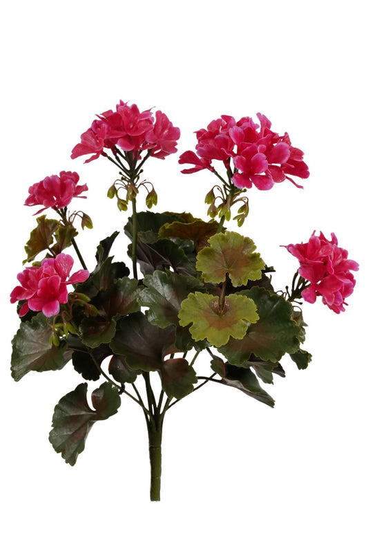 Geranium bush UV fuchsia 38cm