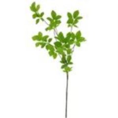 Spring leaf spray green 128cm á 6 stuks