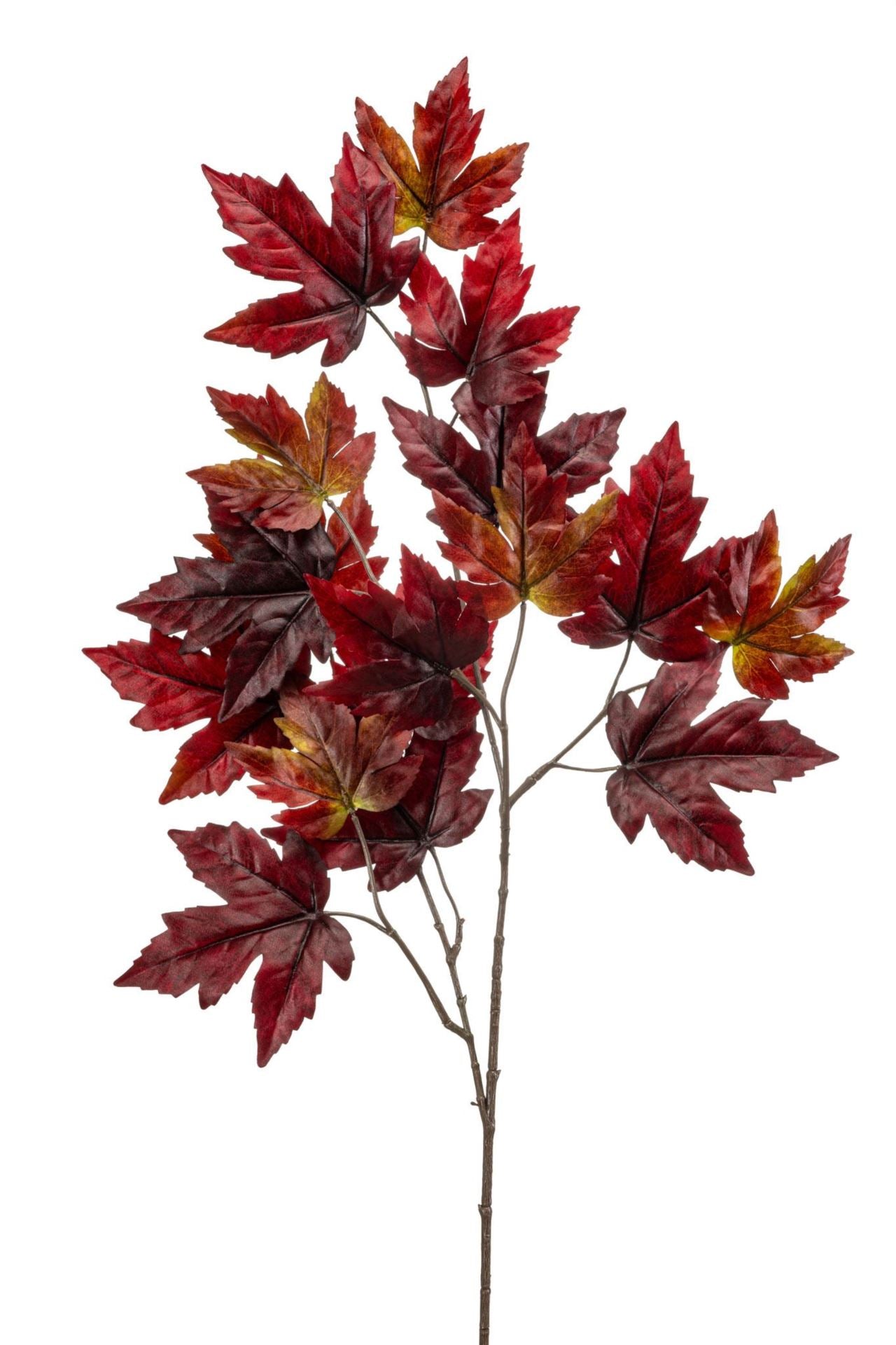 Maple lvs spray burgundy 90cm
