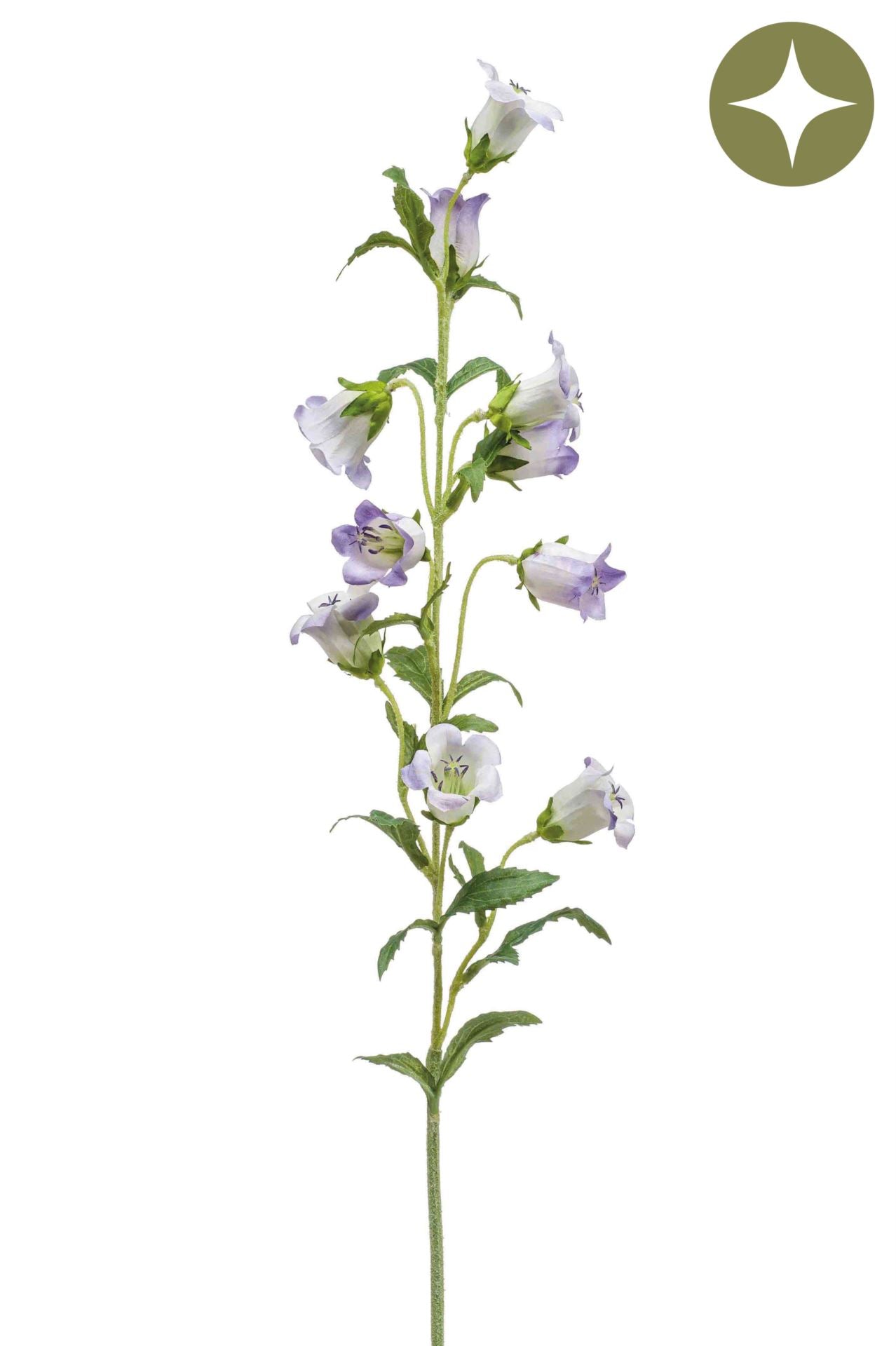 Campanula spray lt purple 88cm á 12 stuks