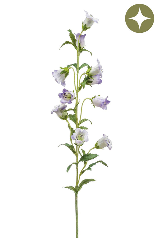 Campanula spray lt purple 88cm á 12 stuks