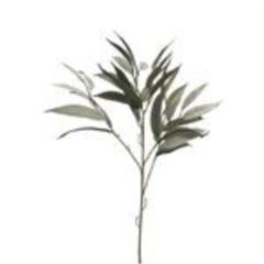 Mango leaf spray dusty green 76cm á 12 stuks