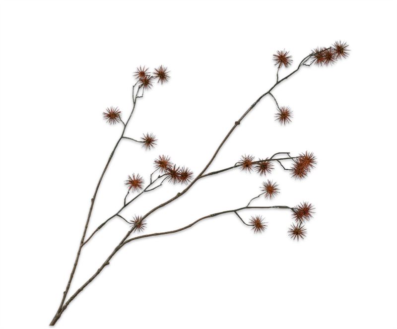 DISTEL TAK BRUIN  101 cm