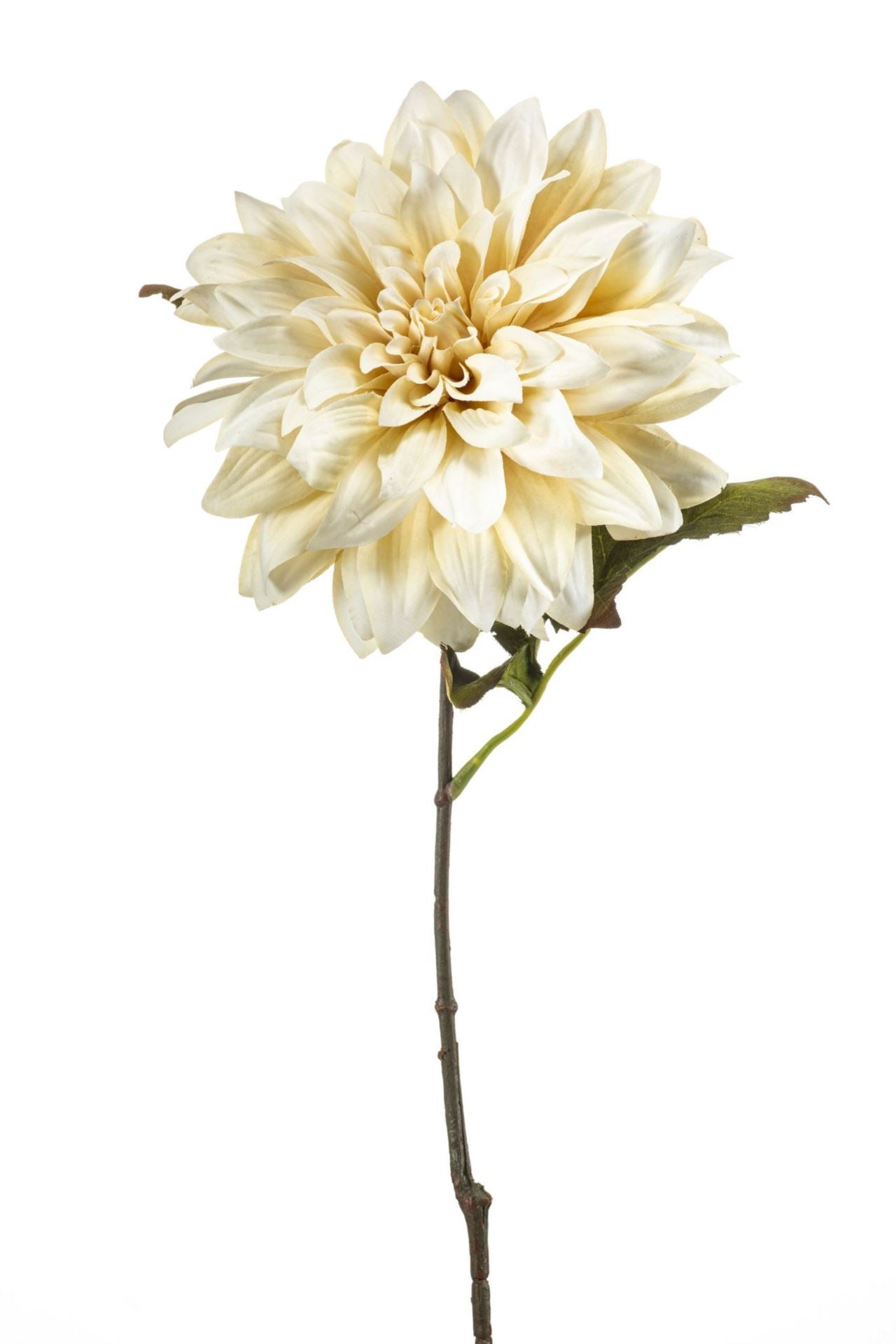 Dahlia spray cream 55cm