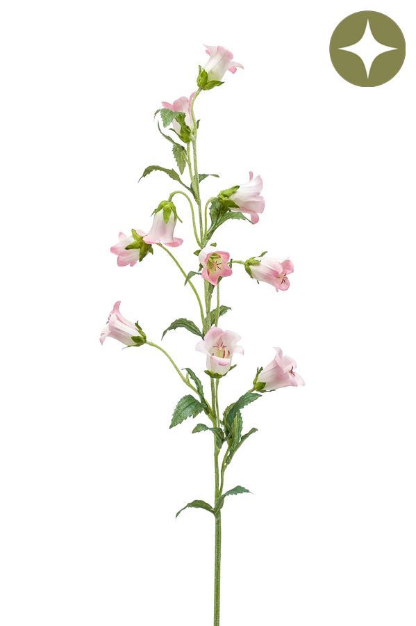 Campanula spray pink 88cm á 12 stuks