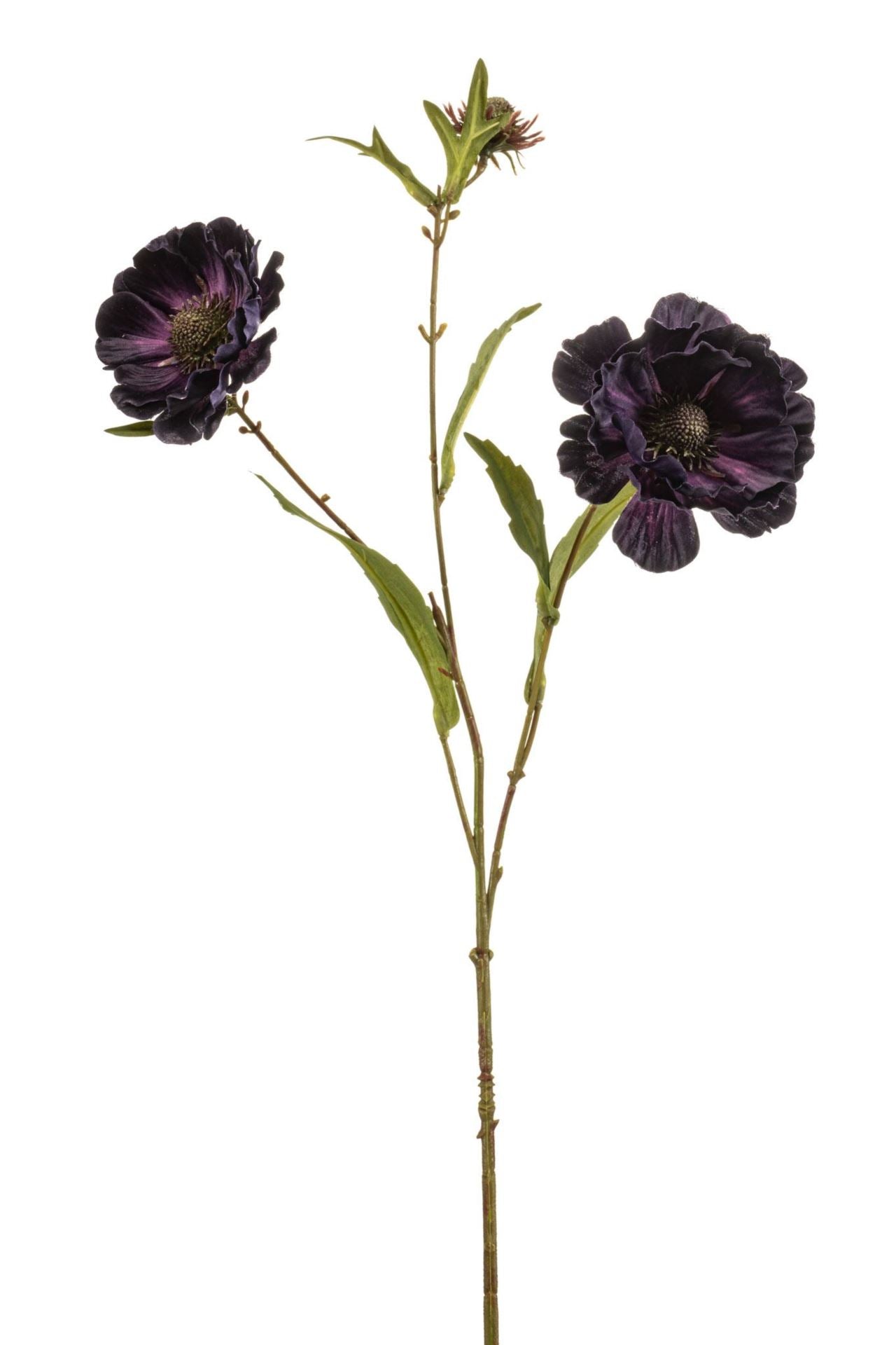 Aster spray purple 76cm