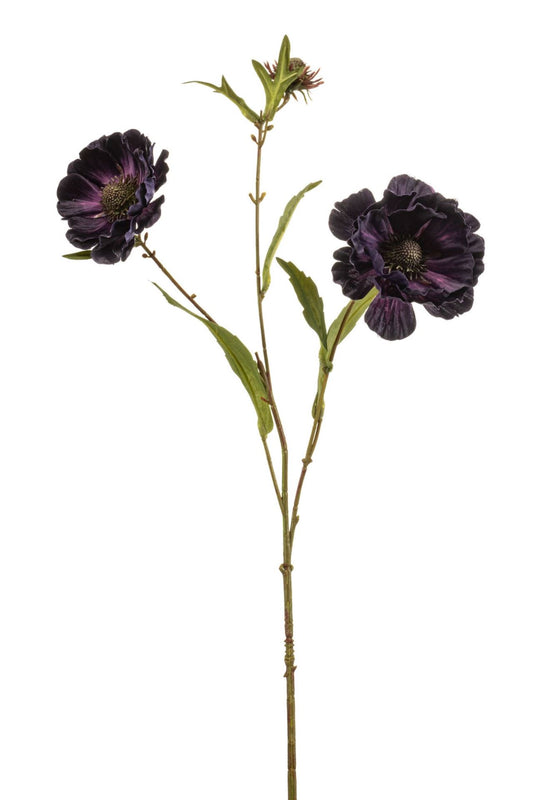 Aster spray purple 76cm