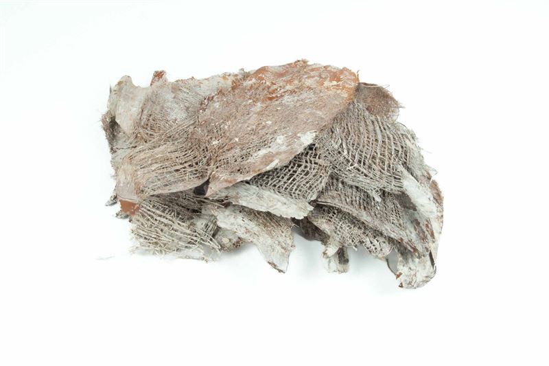 Palm bakla stone washed wit250 gr