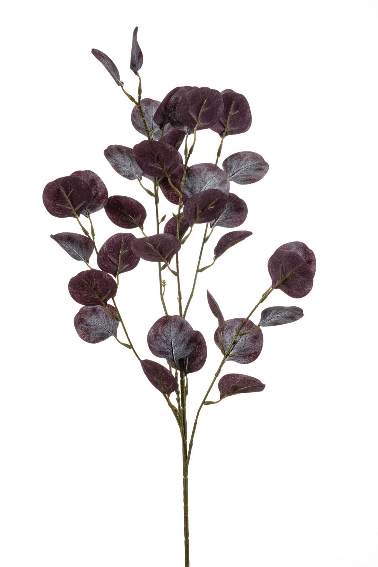 Eucalyptus spray purple 85cm