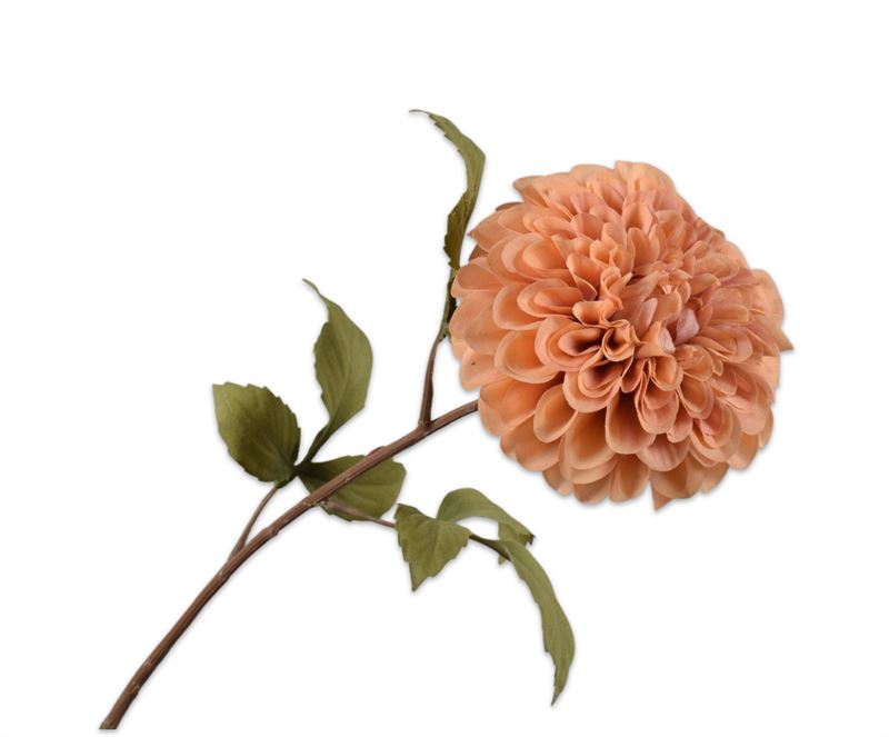 DAHLIA STEEL BRN LT RT 83 cm