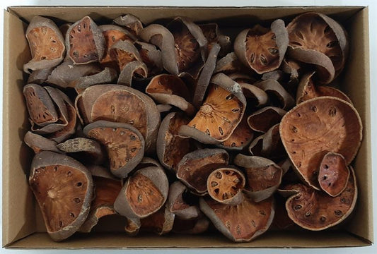 Bell schijven naturel KD