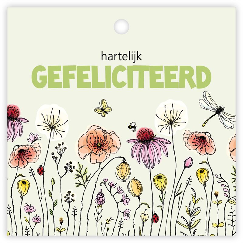 Kadokaartjes Beetle a 12 stuks Hart