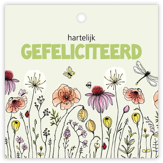 Kadokaartjes Beetle a 12 stuks Hart
