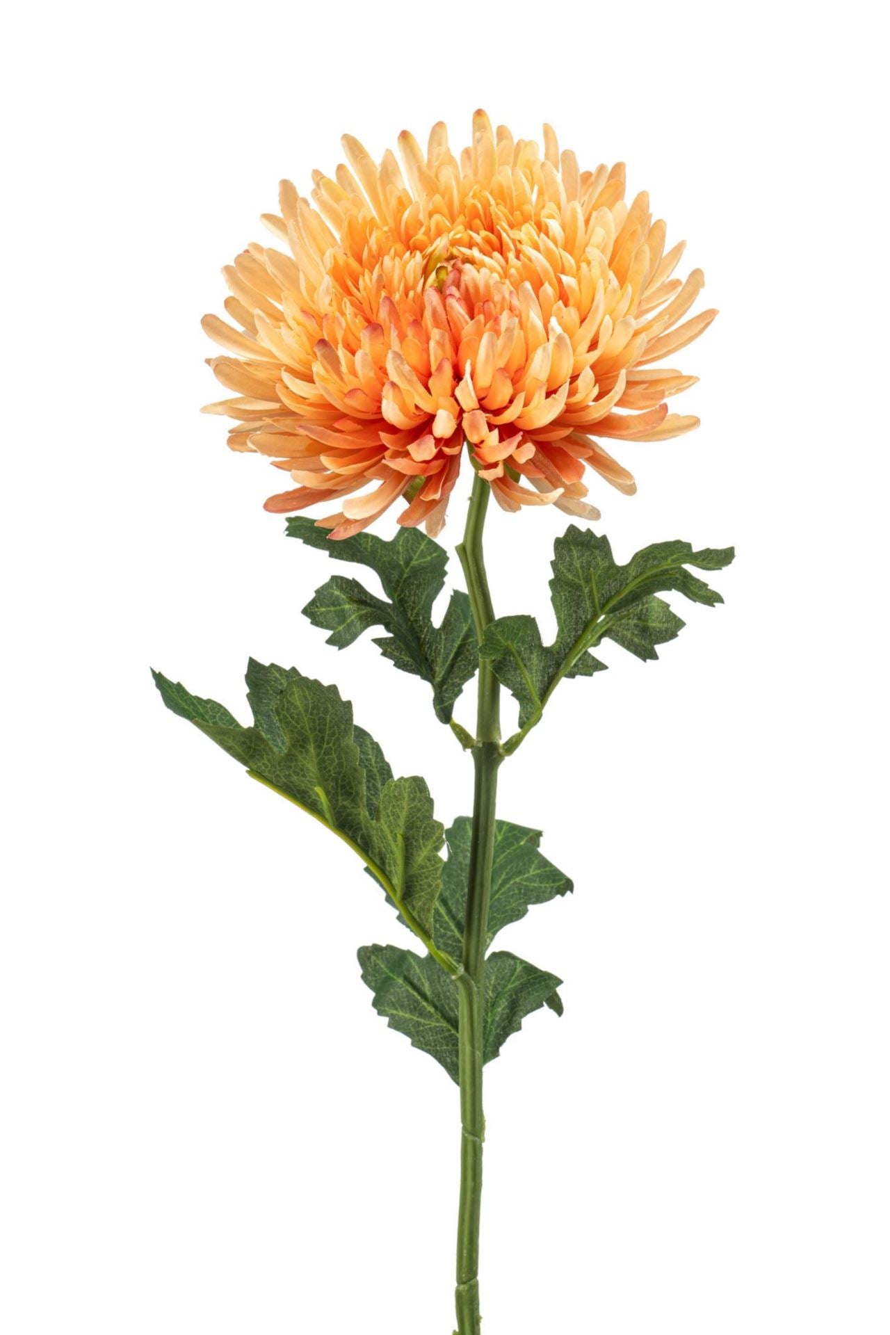 Mum spray peach 72cm