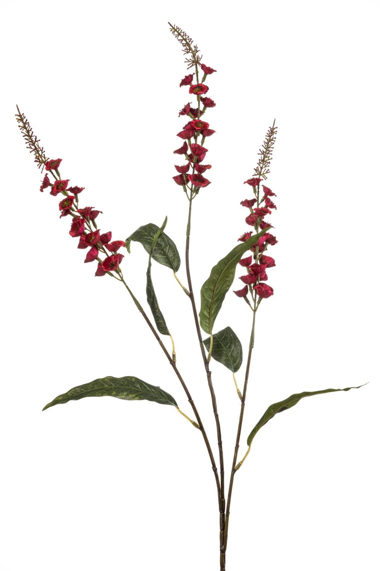 Veronica spray burgundy 97cm