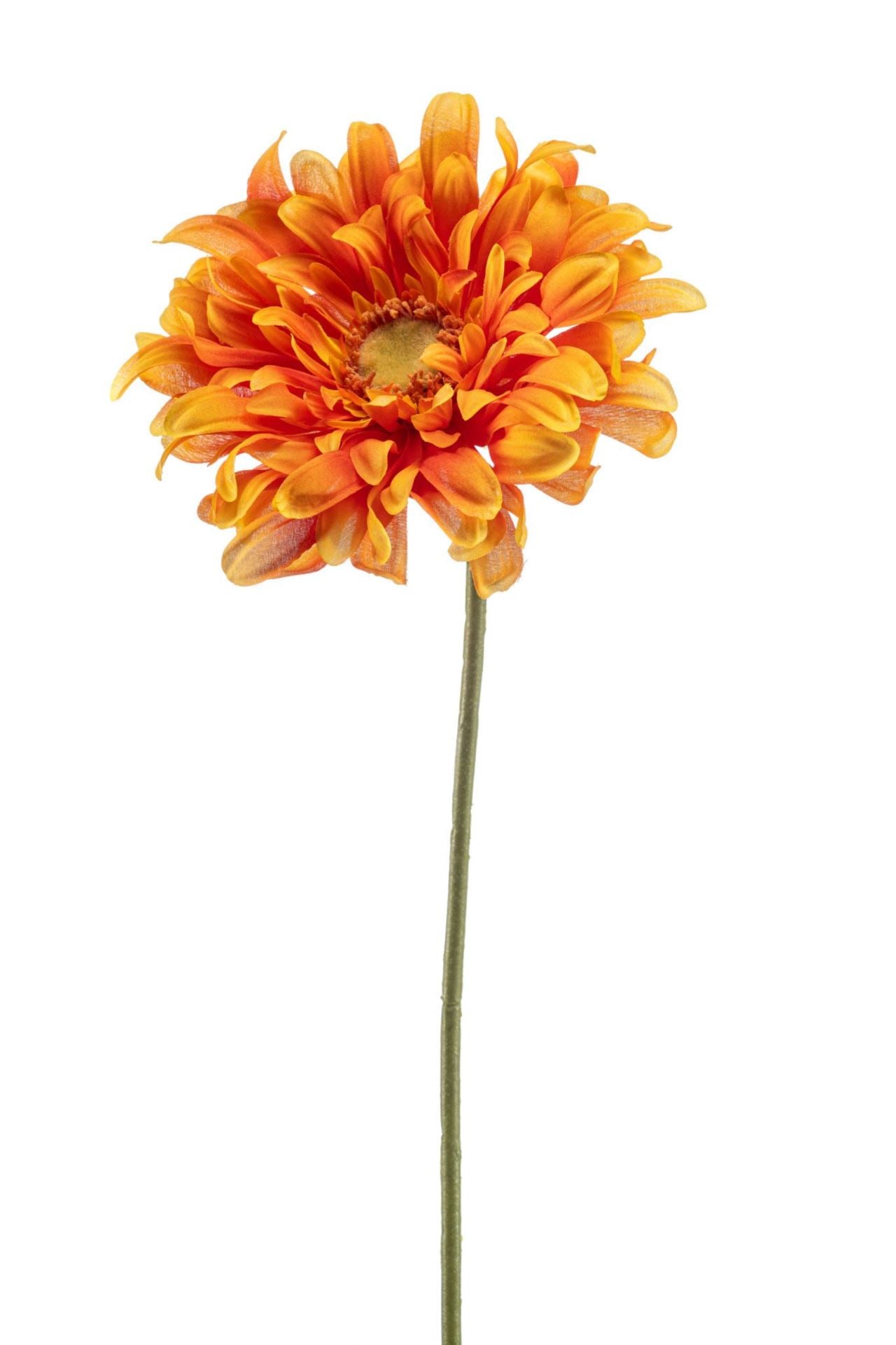 Gerbera spray orange 80cm