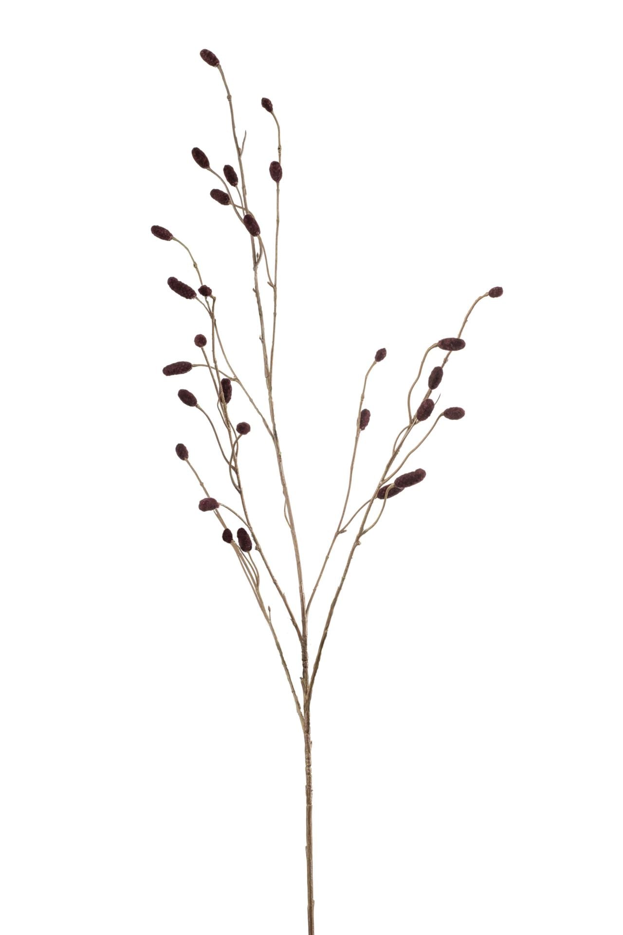 Sanguisorba spray burgundy 105cm á 12 stuks