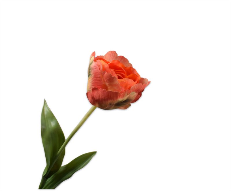 Tulp steel 84cm oranje 12/ds