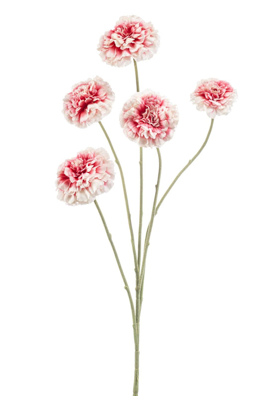 Zinnia spray cream/pink 90cm