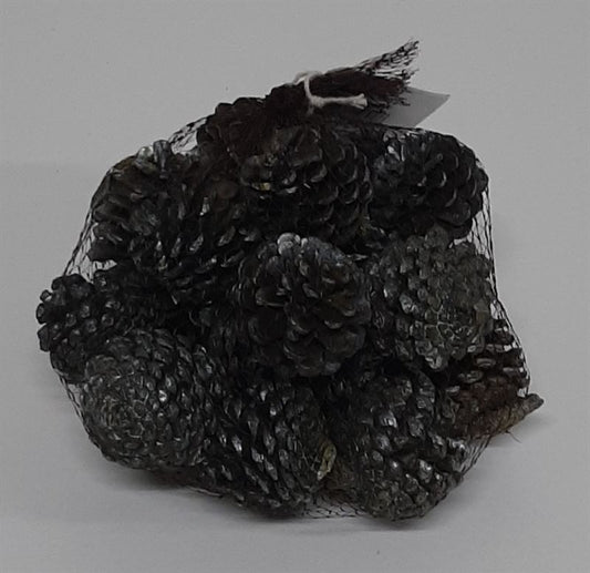 Blue pine cones pearl wash appelgro