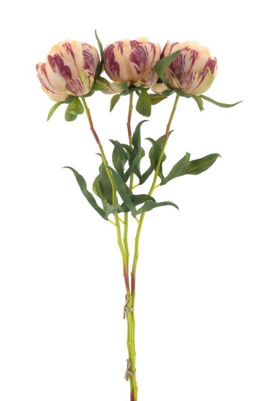 Paeony Marlie 3 pcs peach 63cm
