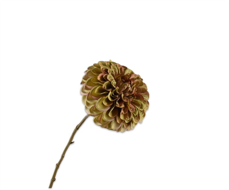 DAHLIA STEEL GRN/ROZ 74CM