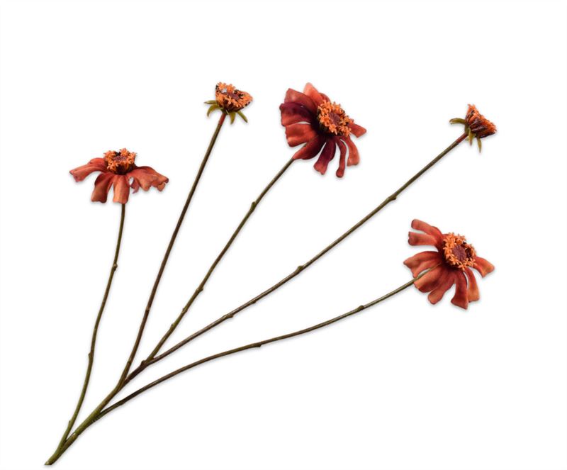ZINNIA TAK ORA/BRN  89 cm