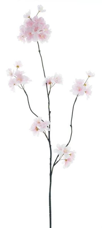 (Best) Prunus Malaga spray pink 84c