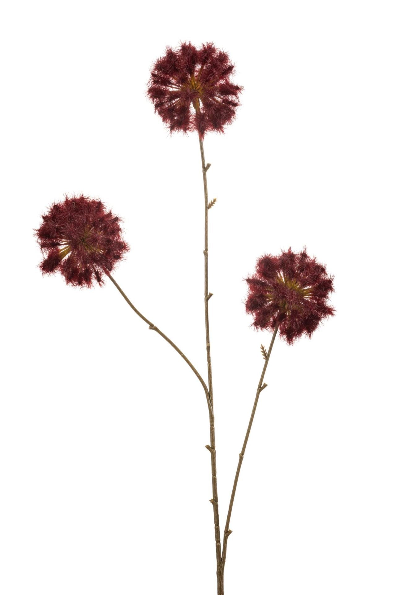 Dandelion spray burgundy 80cm