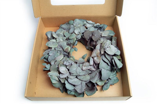 Krans eucalyptus silverdollar gepr