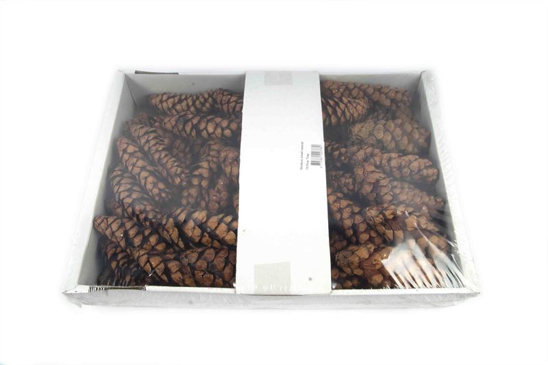Strobus klein naturel75 st