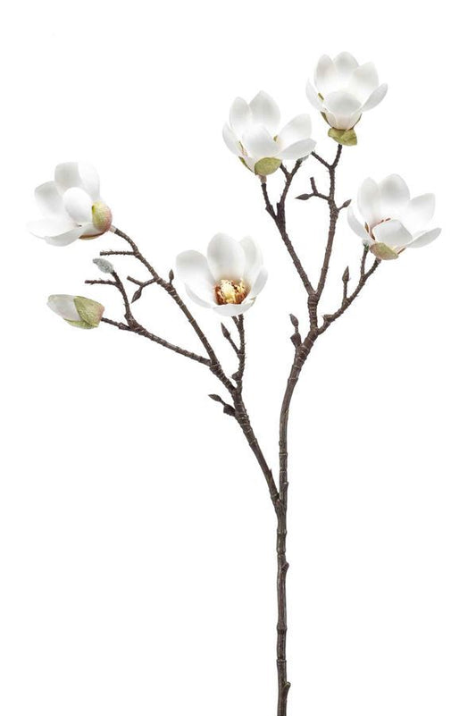 Magnolia mini spray cream 65cm