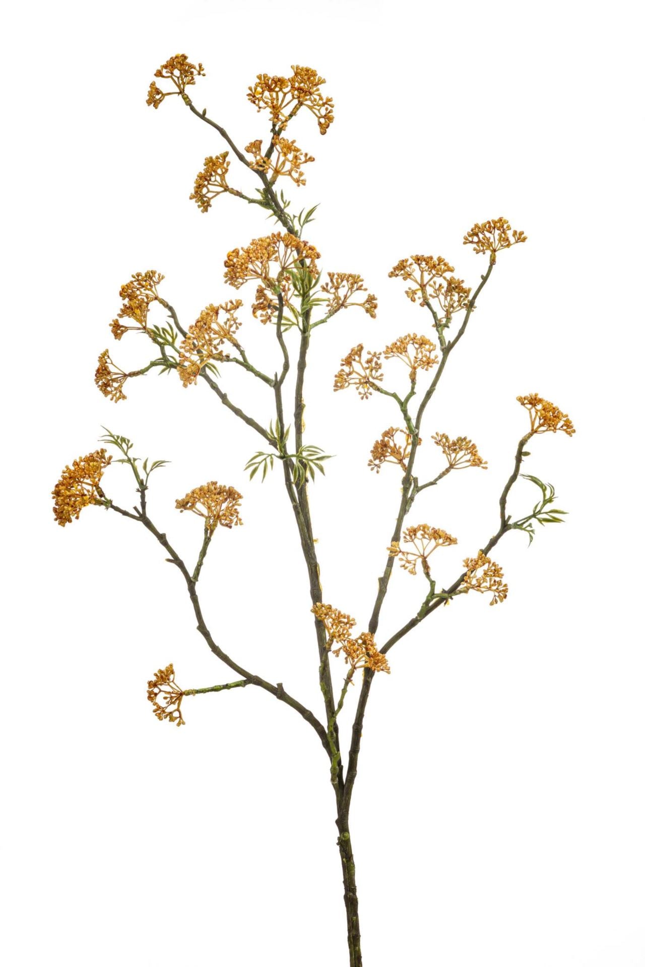 Sedum spray orange 105cm