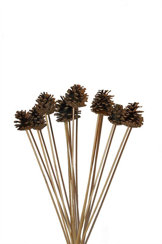Oostenrijkers o/st. naturel