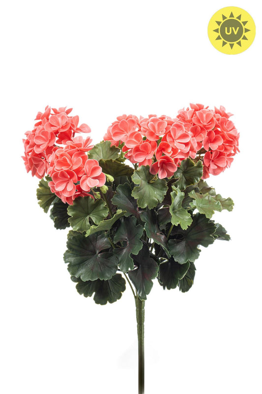 Geranium bush UV peach 41cm