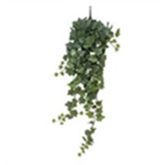 Hanger Ivy Chicago xl 100cm 259lvs