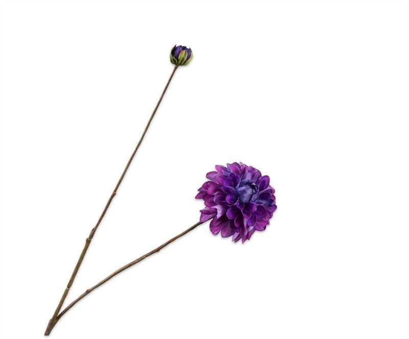 Dahlia tak 86cm paars 24/ds