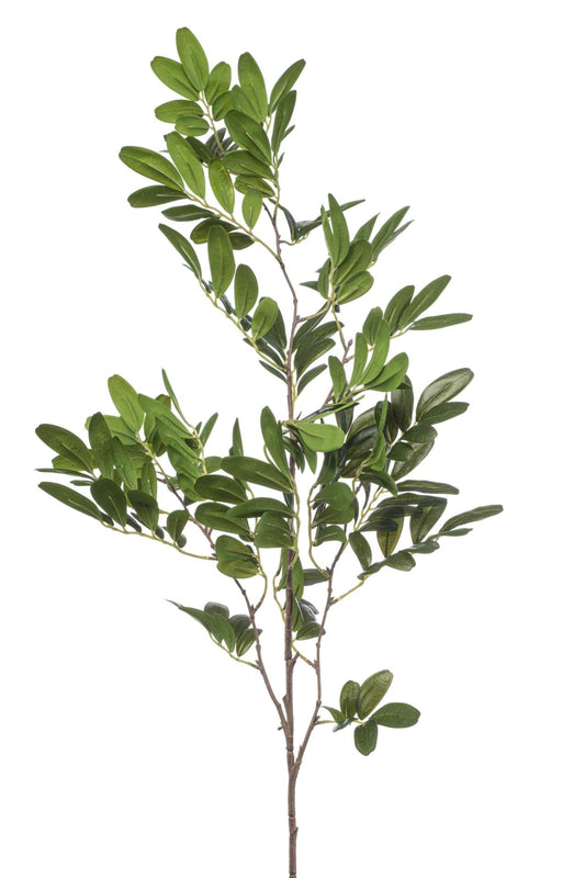 Pistacia spray 90cm