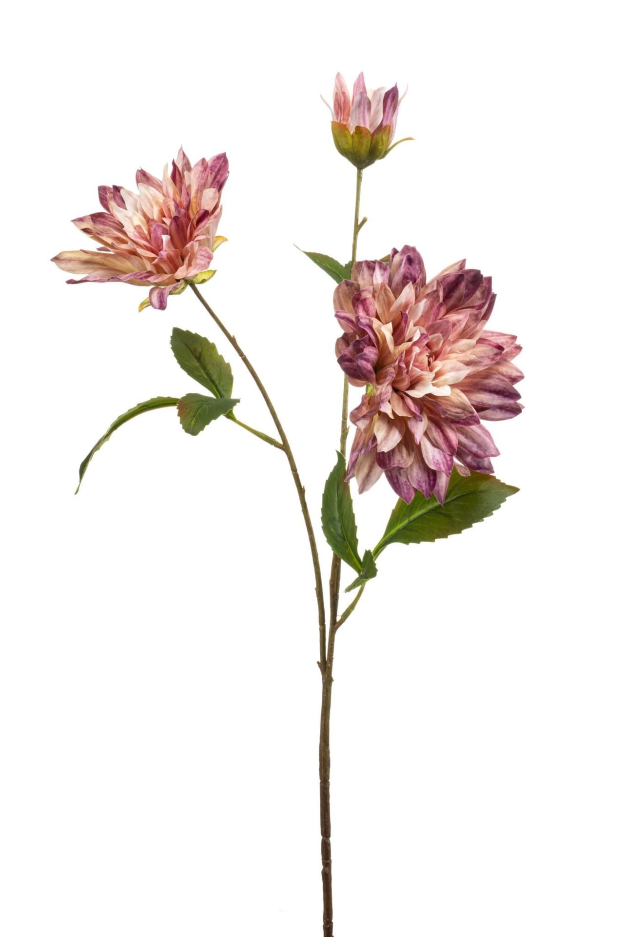 Dahlia spray pink 75cm