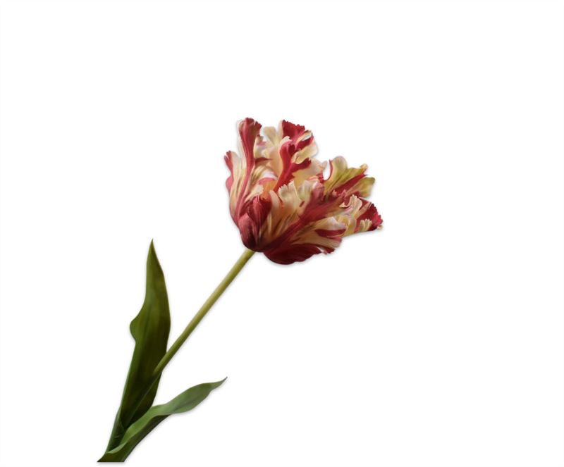 TULP STEEL RD/CR RT 71 cm