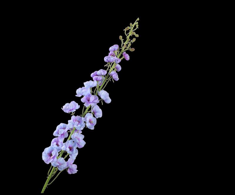DELPHINIUM STEEL LAV LT  127 cm