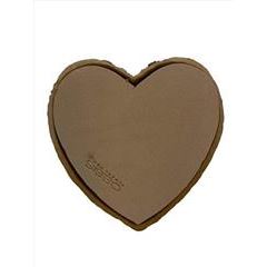 Oasis® Biolit® Bio hart 25,5x28x4cm 