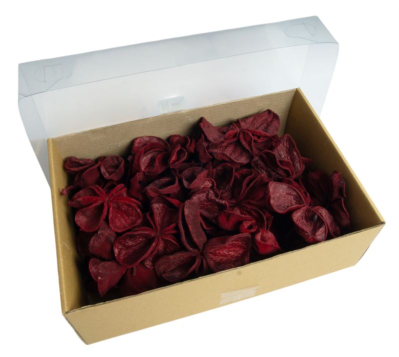 Land lotus rood